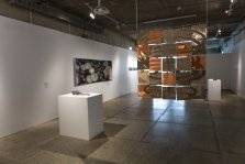 выкса.рф, В Выксе открылась выставка «Поверхностное натяжение»